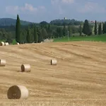 Poggio Ai Gelsi Casa vacanze