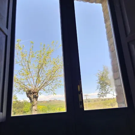 Poggio Ai Gelsi 펜션 피엔자